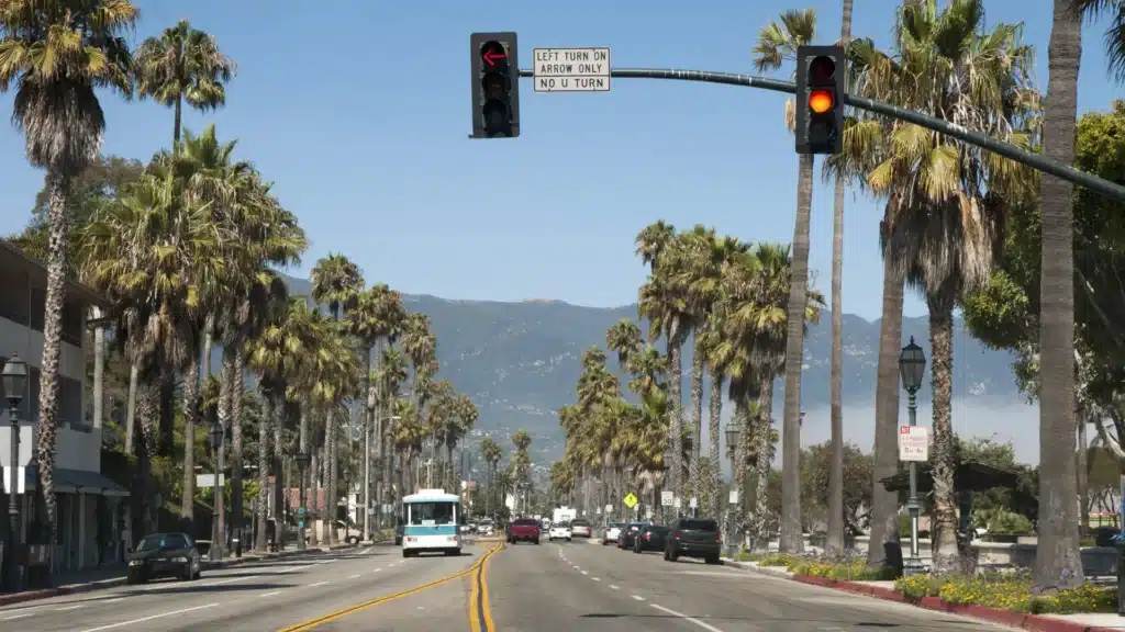 Palm tree lined street in Los Angeles with cars and traffic lights