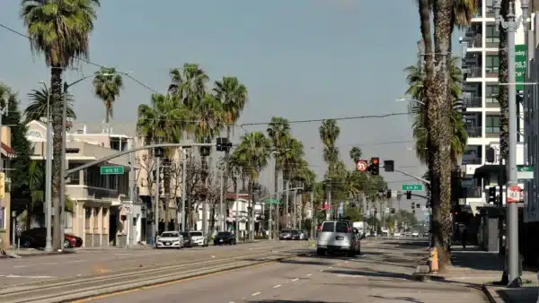 Trusted Lawyer for Injured on LA Metro Long Beach Helping Client Review Accident Case Details Carefully