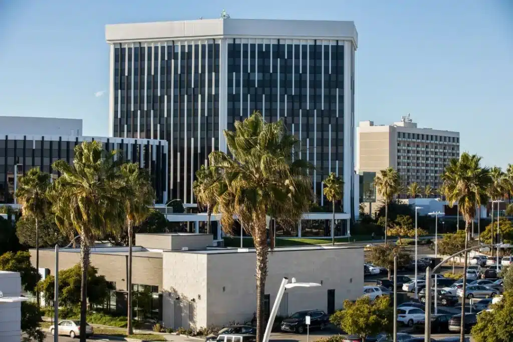 Modern buildings and palm trees in Torrance with a clear blue sky and urban surroundings
